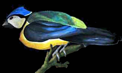 Ecoute Dame Plume...